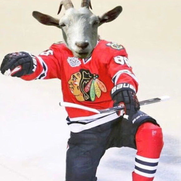 Meet your Posher, Charles - Picture 1 of 1